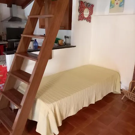 Soledad * Bonassola