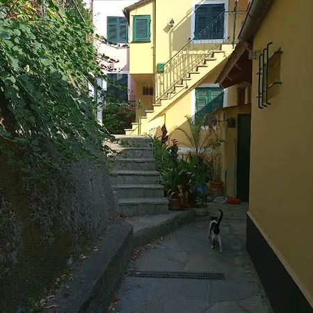 Apartment Soledad