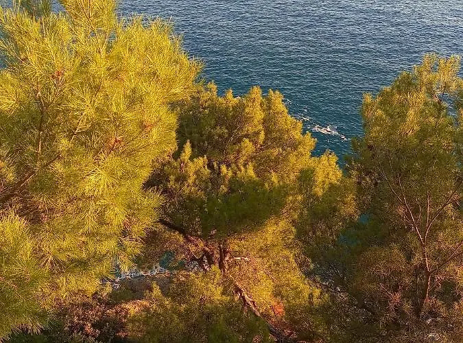 Lejlighed Soledad Bonassola