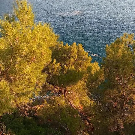 Appartement Soledad Bonassola